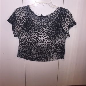Zebra print Express brand Crop top